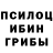 Псилоцибиновые грибы прущие грибы Ancients Nox
