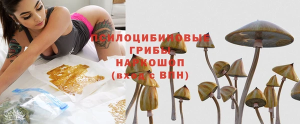 хмурый Майский