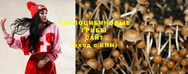 хмурый Майский
