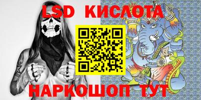 гидра Гусев