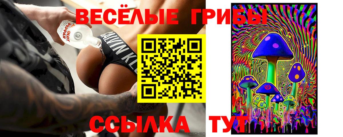Галлюциногенные грибы прущие грибы  закладка  Вход с VPN  Городец  Псилоцибиновые грибы MAGIC MUSHROOMS 