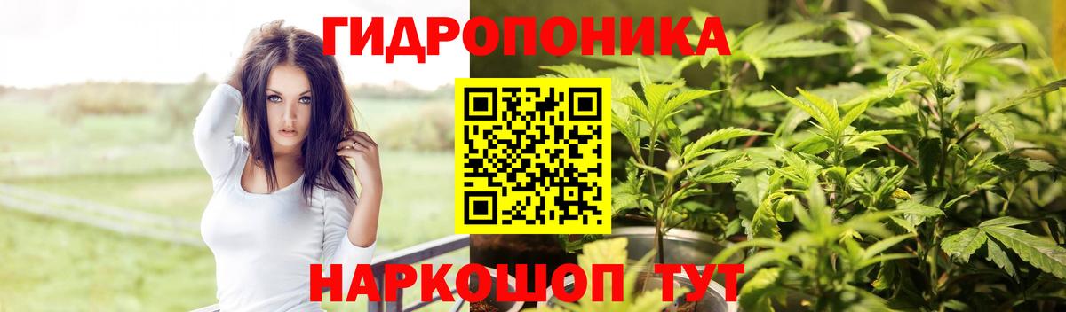 Городец  Бошки марихуана OG Kush  Шишки марихуана семена  Бошки марихуана THC 21%  Вход с VPN 